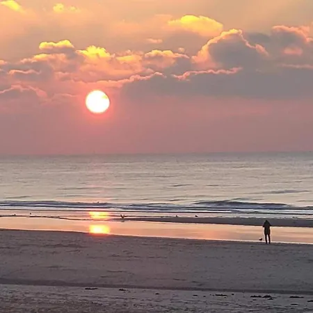 Spacious In On A Dutch Coast *