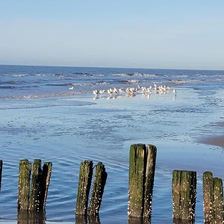 Spacious In On A Dutch Coast Appartement *