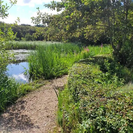 In North Holland Apartmán Bergen aan Zee
